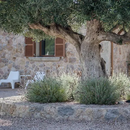 Figuera Villa