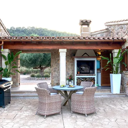 Figuera Villa Alcudia (Mallorca)